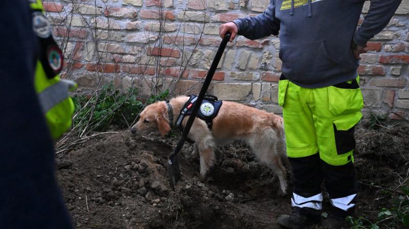 A csendben hallatszó segélykiáltás - Miért maradnak válasz nélkül az eltűntek?