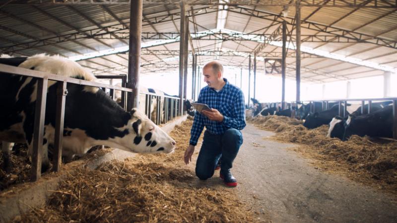 Nagy István bejelentette a vis maior helyzetet az országban tapasztalható járványhelyzet következtében - Agrárszektor.