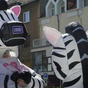 A pécsi Pride rendezvényen egy zebrajelmezes résztvevőt támadtak meg, akit rángatva és megütve bántalmaztak.