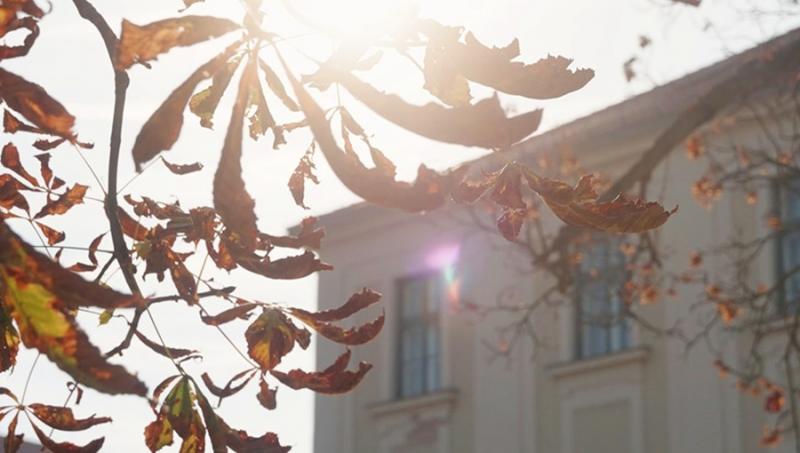Fedezd fel az izgalmas októberi programokat az Anna Grand Hotelben! Változatos események és különleges élmények várnak, amelyek felejthetetlen pillanatokat kínálnak minden látogatónak. Élvezd a gyönyörű őszi tájat, miközben részt veszel a szálloda által s